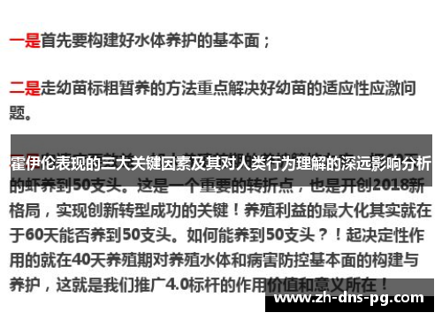 霍伊伦表现的三大关键因素及其对人类行为理解的深远影响分析