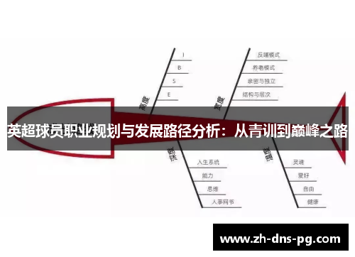 英超球员职业规划与发展路径分析：从青训到巅峰之路